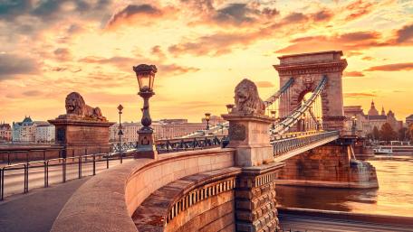 Lions of the Chain Bridge wallpaper