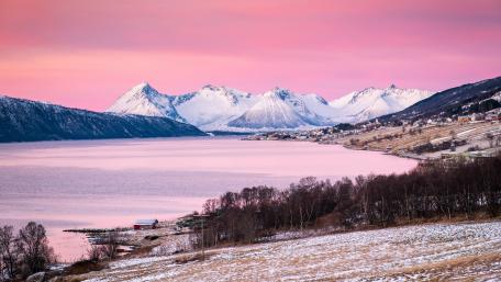 Pink winter landscape wallpaper