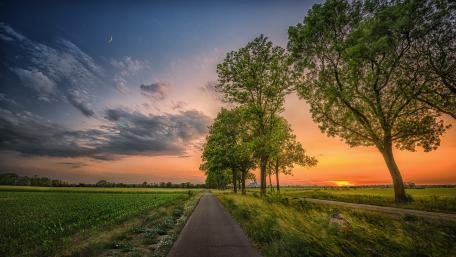 Serene Sunset Boulevard wallpaper