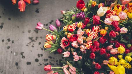 Tulip bouquet wallpaper