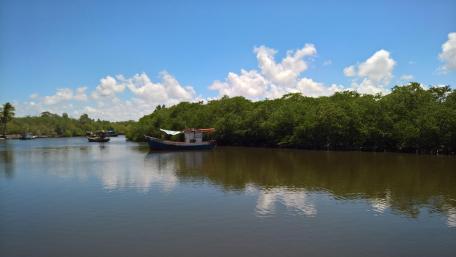 Itapicuru River wallpaper