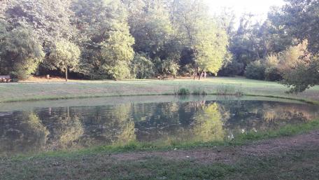 Tranquil Reflections in Nature's Embrace wallpaper