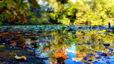 Reflexive Lake wallpaper