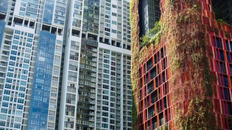 Oasia Hotel Downtown in Singapore wallpaper