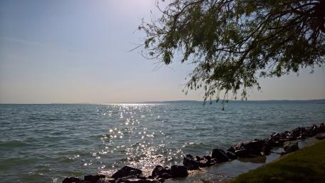 Serene Lake View Under Sunlight wallpaper