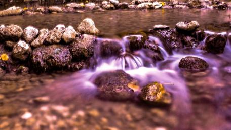 river pink wallpaper