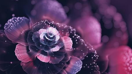 Radiant Purple Fractal Bloom wallpaper