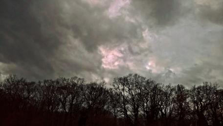 Mysterious Stormy Sky Over Trees wallpaper
