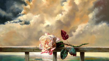 White rose on the railing wallpaper
