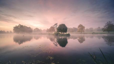 Purple misty dawn reflection wallpaper