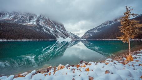 Lake Louise in winter wallpaper