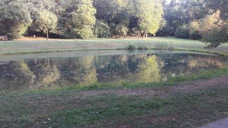 Small artificial pond wallpaper