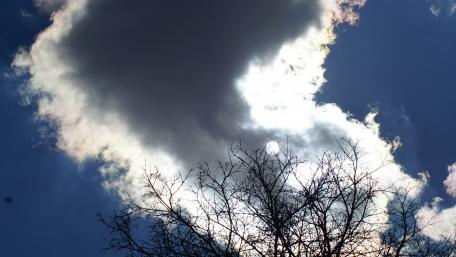 Majestic Clouds Above a Bare Tree wallpaper