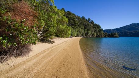 Serene Coastal Landscape by the Lake wallpaper
