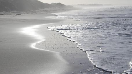 Monochrome beach wallpaper