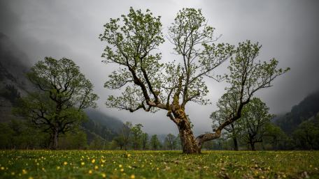 Cloudy spring valley wallpaper