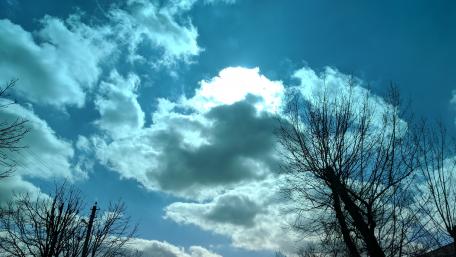 Serene Sky with Lush Trees in 4K Quality wallpaper