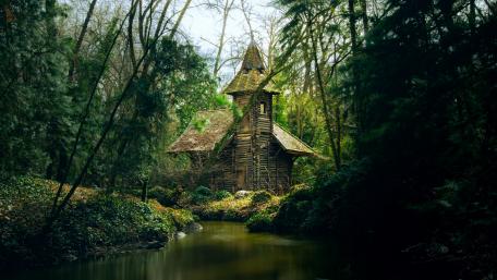 Wooden cottage in a deep forest wallpaper