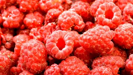 Raspberries wallpaper