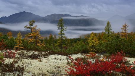 Lake Jack London wallpaper