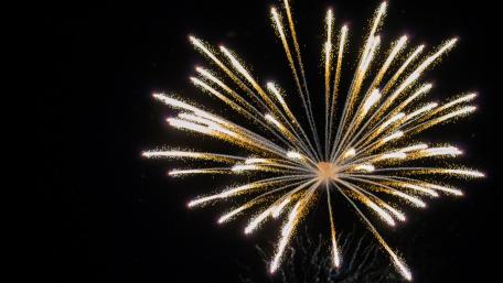 Fireworks in Grosse Pointe wallpaper