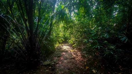 path way to a Buddhist monastery wallpaper