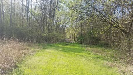 Whiskey Flats at spring of 2019 wallpaper