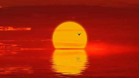 Romantic sunset wallpaper