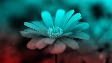 Blue effect wallpaper