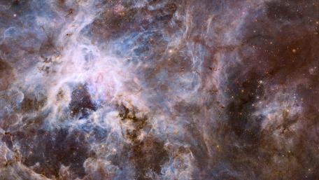 Wide Field 30 Doradus UVIS wallpaper