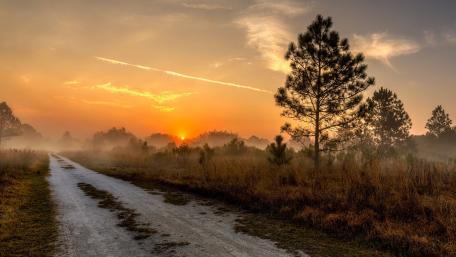 Sunny Foggy Morning Road Scene with Orange Sky wallpaper