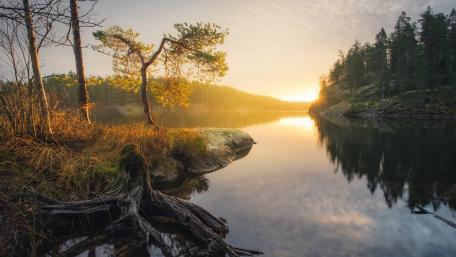 Serene Morning Reflection in the Wilderness wallpaper