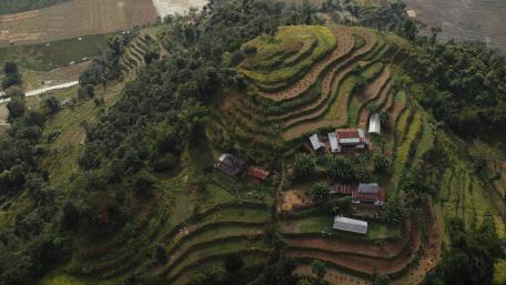 Agriculture wallpaper