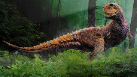 Dinosaur Carnotaurus wallpaper