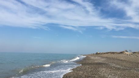 Tranquil Shoreline Under a Clear Blue Sky wallpaper