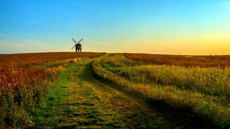 Windmill on Autumn Hill wallpaper
