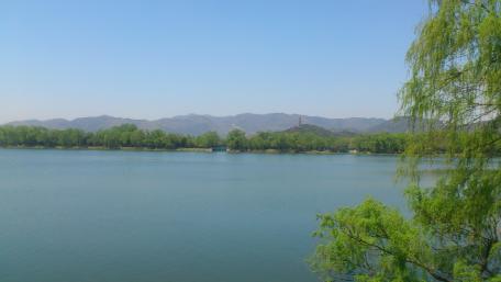 The Lake wallpaper