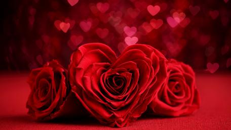 Red rose hearts wallpaper