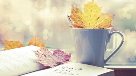 Autumn mood wallpaper