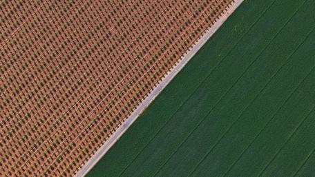 Vineyards in California wallpaper