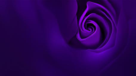 Mystical Purple Rose Spiral wallpaper