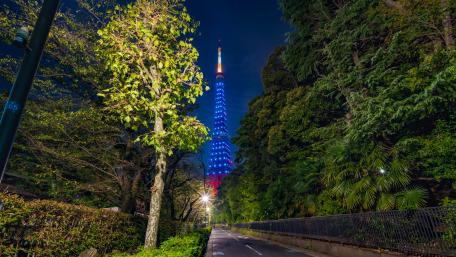Blue Tokyo Tower wallpaper