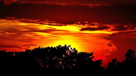 Sunset wallpaper