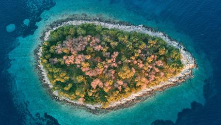 Island form above wallpaper