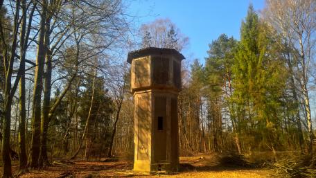 Forgotten Tower Amidst Nature's Beauty wallpaper