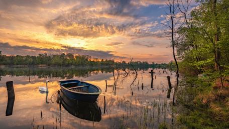 Swan at the wooden boat wallpaper