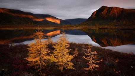 Golden Trees Reflecting in Serene Lake Scene wallpaper