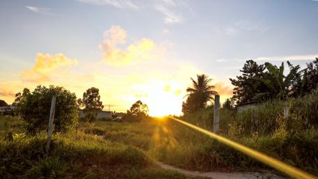 Sunrise wallpaper