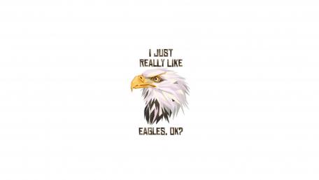 I just really like eagles, ok wallpaper