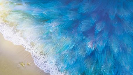 Feather sea wallpaper